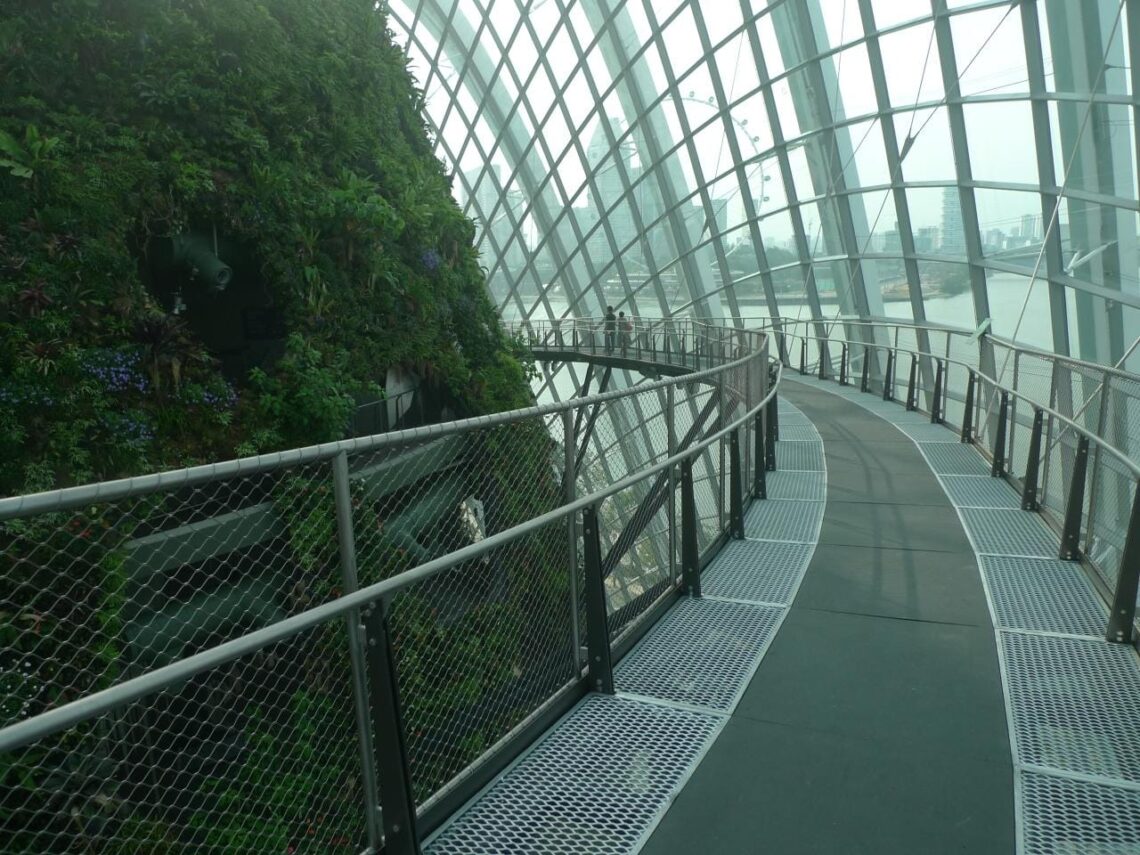 Architectural landmark: gardens by the bay cloud forest walkway © walter lim