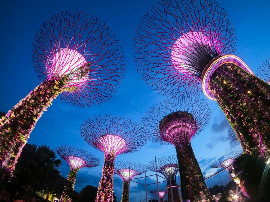 Architectural landmark: gardens by the bay low angle shot of lighted supertree grove © lynde
