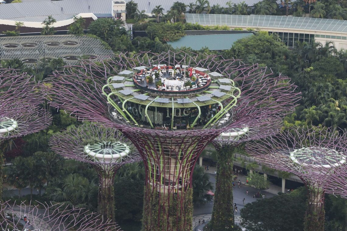 Architectural landmark: gardens by the bay supertree rooftop bar by indochine © indochine group pte ltd.