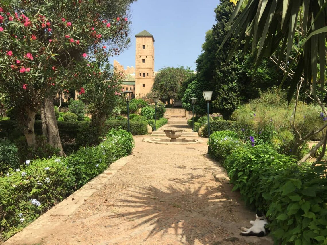 15 Famous Architectural Landmarks In Africa For Architects 226 Architectural landmark: kasbah of the udayas garden ยฉ chago. Ka