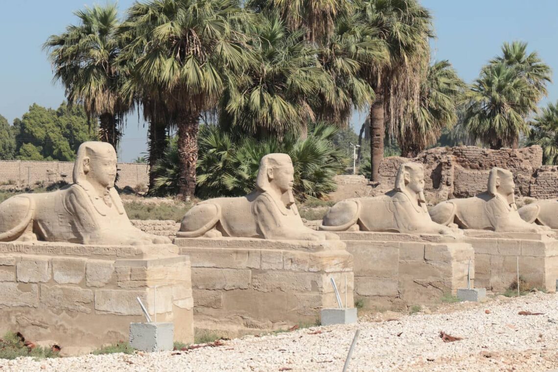 Architectural landmark: luxor temple avenue of sphinxes © hatty