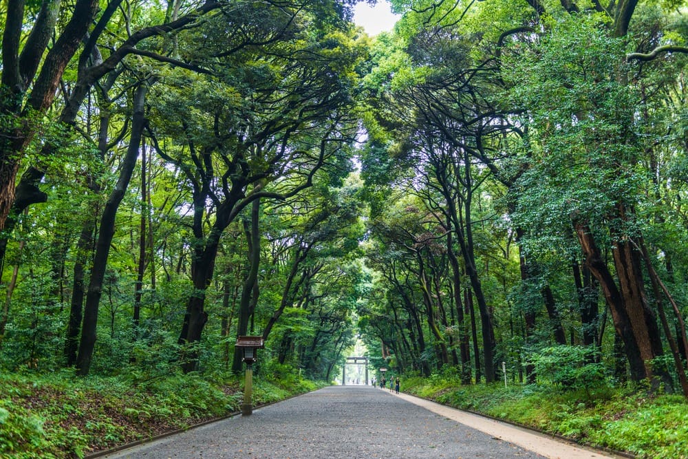 18 Famous Architectural Landmarks In Asia For Architects 322 Architectural landmark: meiji shrine path going to meiji shrine ยฉ tokyo weekender
