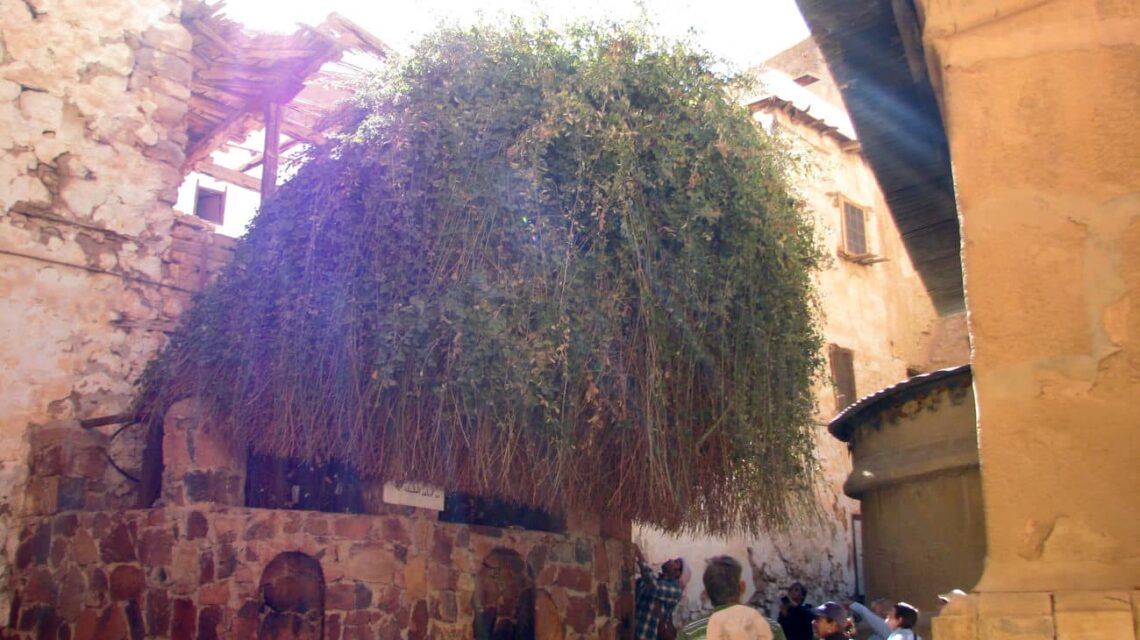 15 Famous Architectural Landmarks In Africa For Architects 215 Architectural landmark: saint catherine monastery bramble ยฉ dale gillard