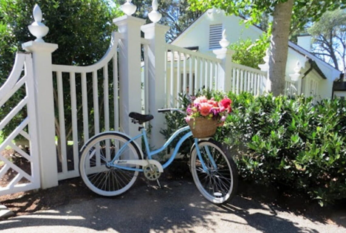 29. Bike door