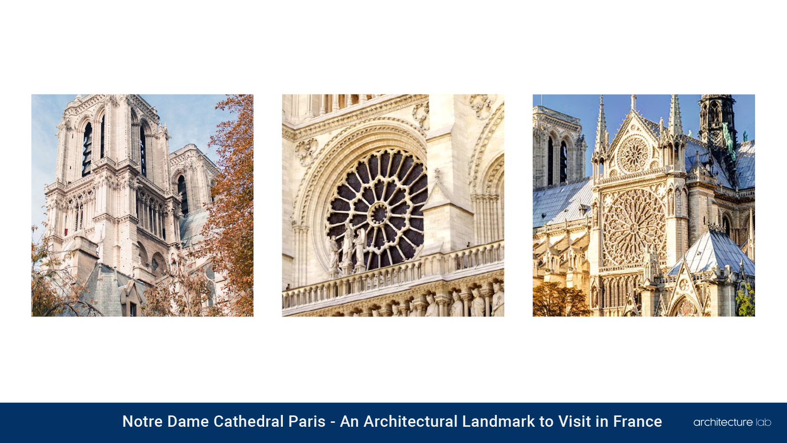 Notre dame cathedral paris: an architecture landmark to visit in france