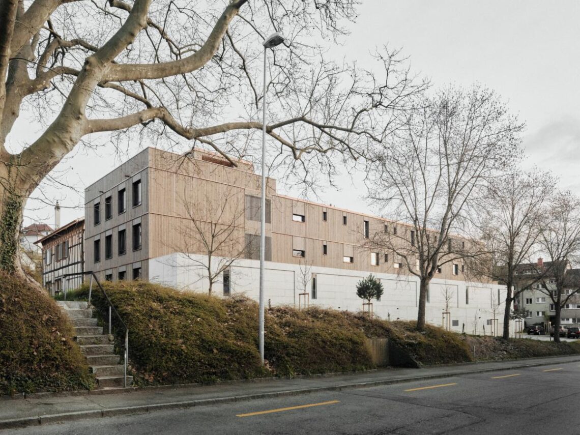 Wagi Wagenareal Development / Schumacher Somm Architekten 4 Bold, bolder, s’wagi