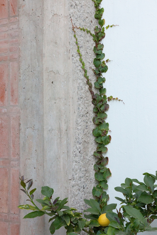 Thames House / Ignacio Szulman Arquitecto 40 Thames house / ignacio szulman arquitecto