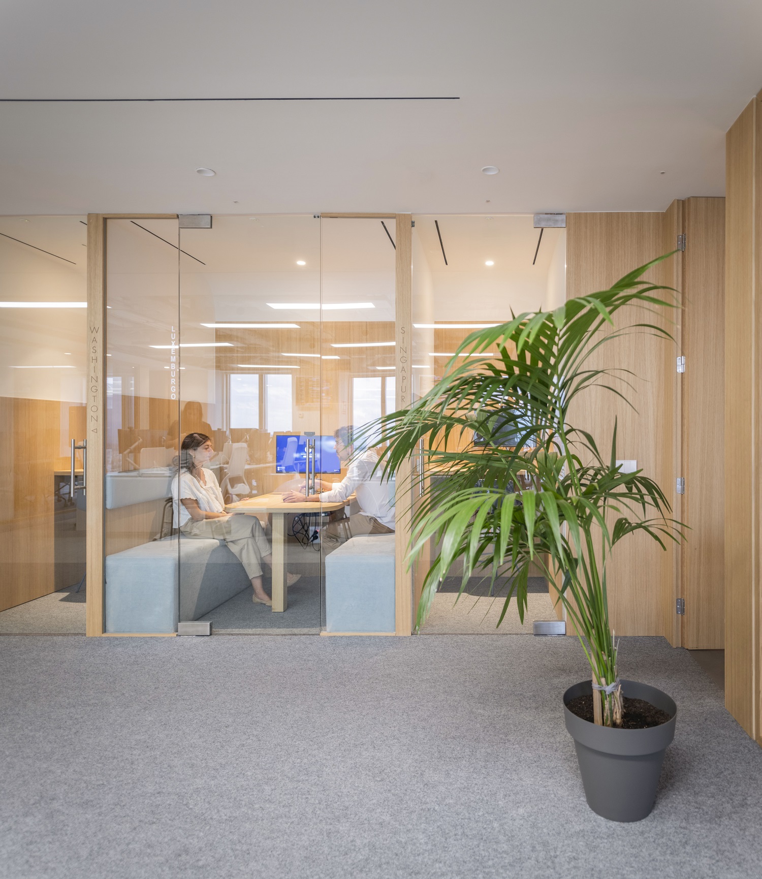 Monex offices / arquid