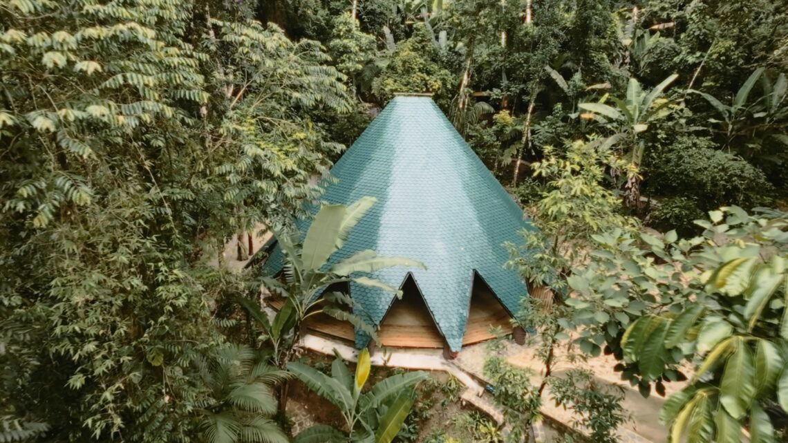 Ayuru The Forest Temple / Atelier Marko Brajovic 7 Ayuru the forest temple / atelier marko brajovic