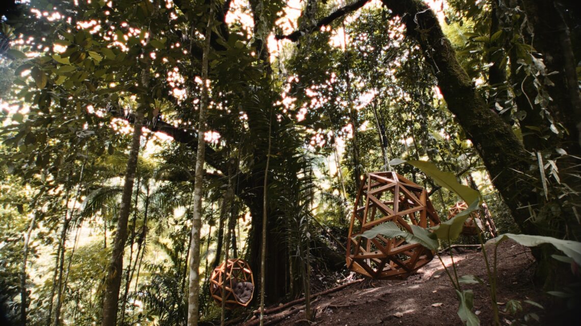 Ayuru The Forest Temple / Atelier Marko Brajovic 23 Ayuru the forest temple / atelier marko brajovic