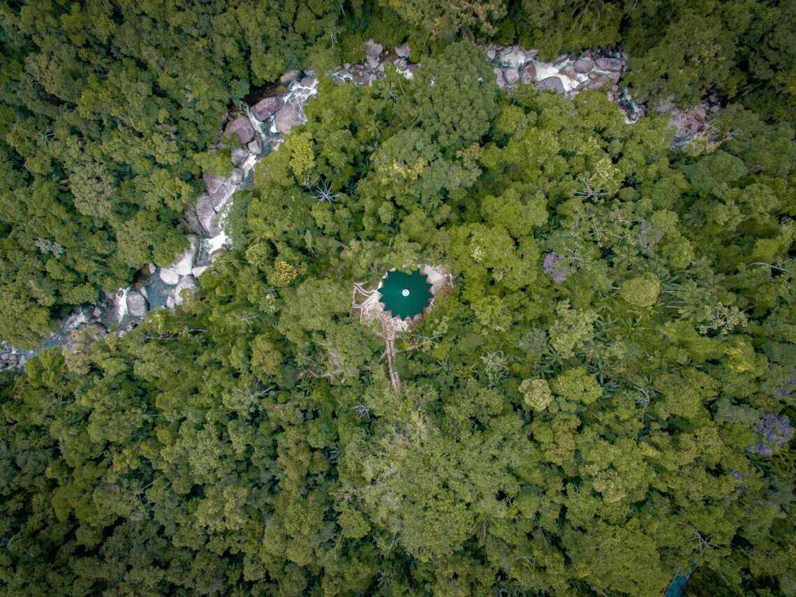 Ayuru The Forest Temple / Atelier Marko Brajovic 9 Ayuru the forest temple / atelier marko brajovic