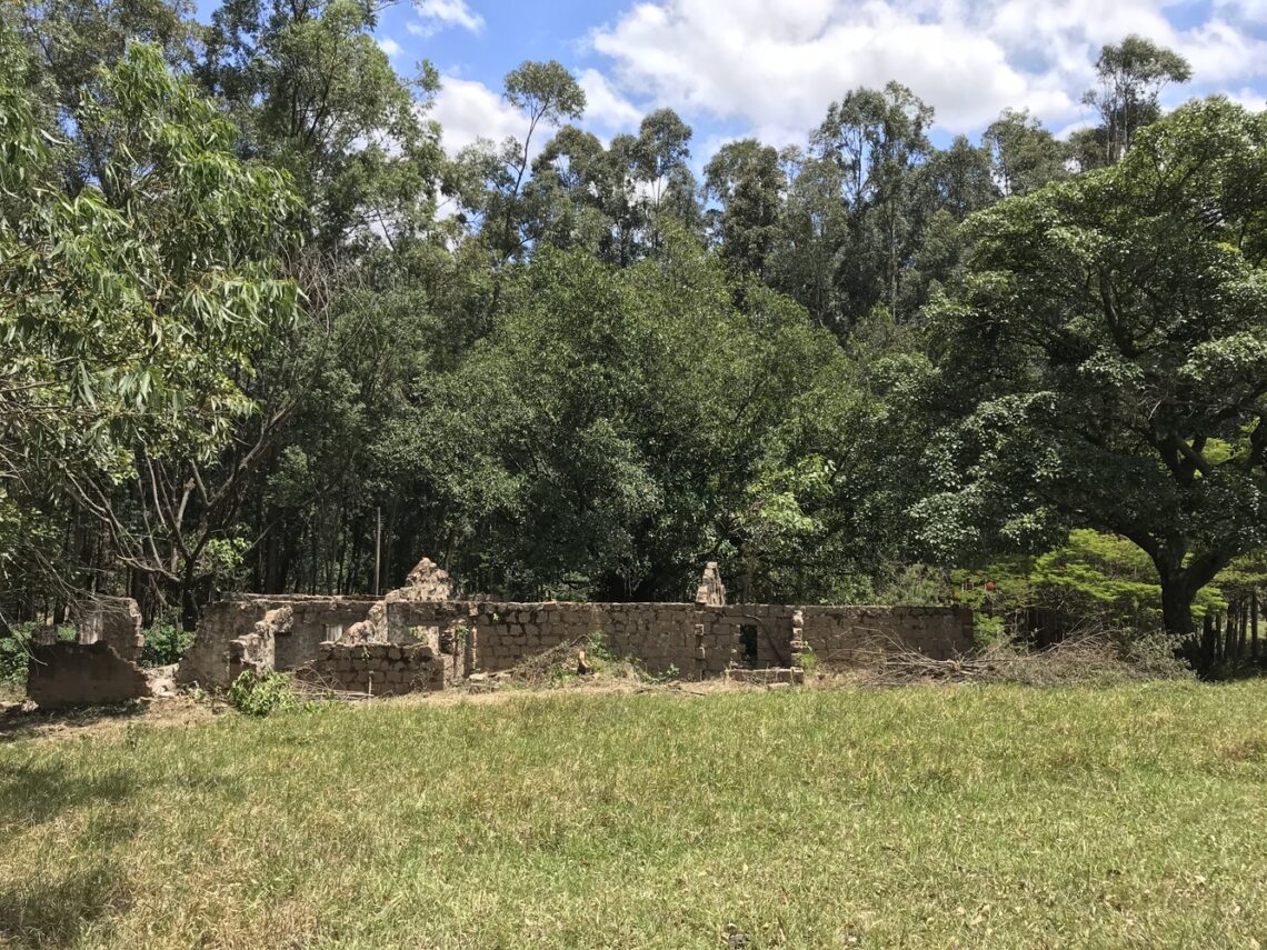 House In Ruins / Messina | Rivas 12 House in ruins / messina | rivas