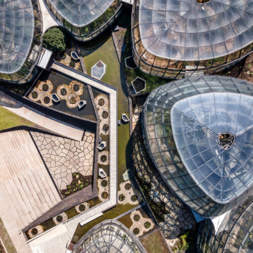 Tropicario Bogotá Botanic Garden / Darp - De Arquitectura Y Paisaje 46 Tropicario bogotá botanic garden / darp - de arquitectura y paisaje