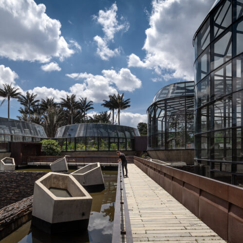 Tropicario Bogotá Botanic Garden / Darp - De Arquitectura Y Paisaje 40 Tropicario bogotá botanic garden / darp - de arquitectura y paisaje