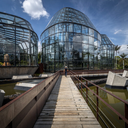Tropicario Bogotá Botanic Garden / Darp - De Arquitectura Y Paisaje 39 Tropicario bogotá botanic garden / darp - de arquitectura y paisaje