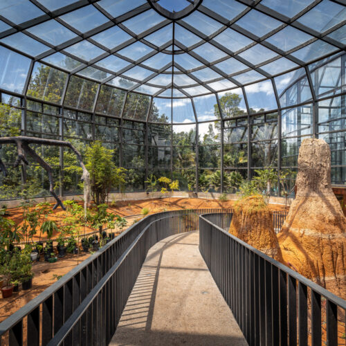 Tropicario Bogotá Botanic Garden / Darp - De Arquitectura Y Paisaje 37 Tropicario bogotá botanic garden / darp - de arquitectura y paisaje