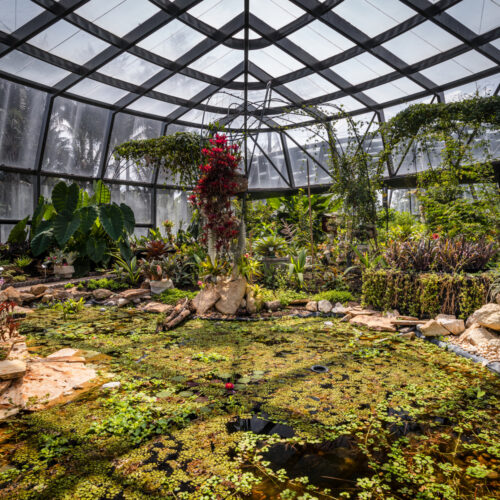 Tropicario Bogotá Botanic Garden / Darp - De Arquitectura Y Paisaje 35 Tropicario bogotá botanic garden / darp - de arquitectura y paisaje