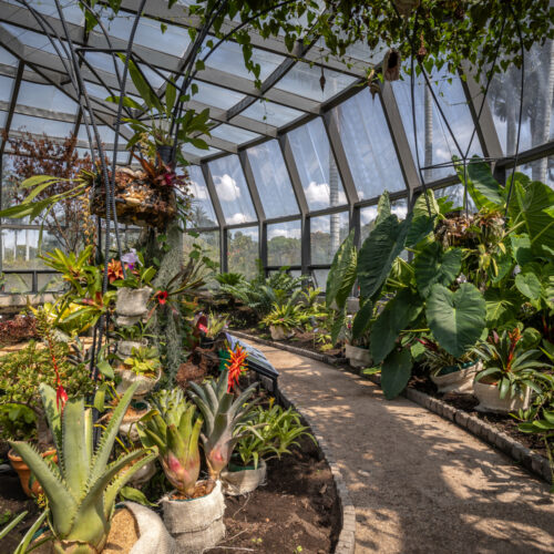 Tropicario Bogotá Botanic Garden / Darp - De Arquitectura Y Paisaje 34 Tropicario bogotá botanic garden / darp - de arquitectura y paisaje