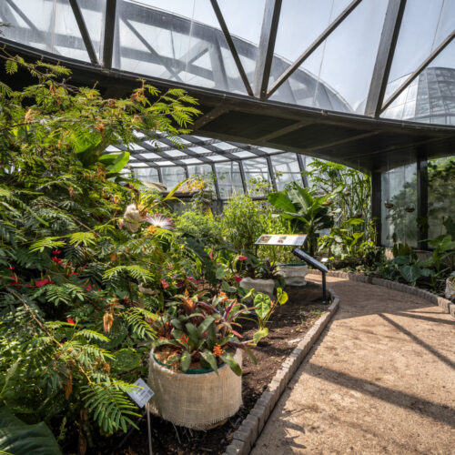 Tropicario Bogotá Botanic Garden / Darp - De Arquitectura Y Paisaje 33 Tropicario bogotá botanic garden / darp - de arquitectura y paisaje