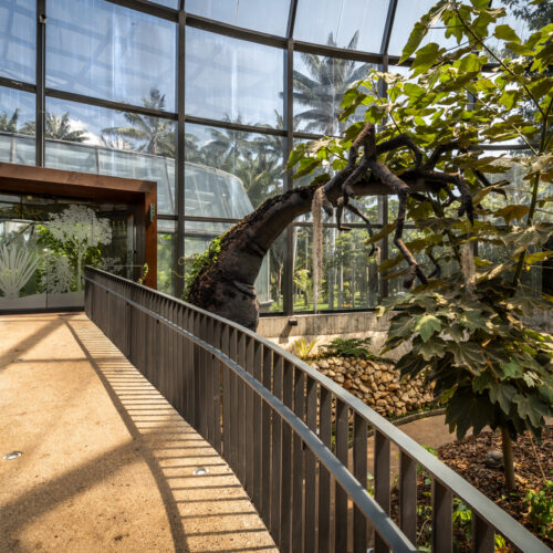 Tropicario Bogotá Botanic Garden / Darp - De Arquitectura Y Paisaje 32 Tropicario bogotá botanic garden / darp - de arquitectura y paisaje