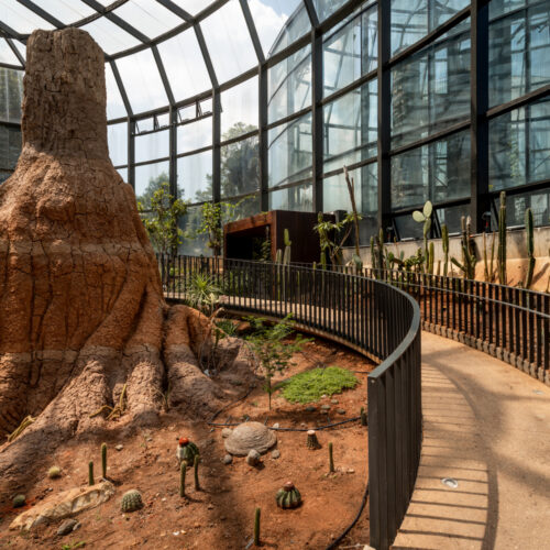 Tropicario Bogotá Botanic Garden / Darp - De Arquitectura Y Paisaje 31 Tropicario bogotá botanic garden / darp - de arquitectura y paisaje