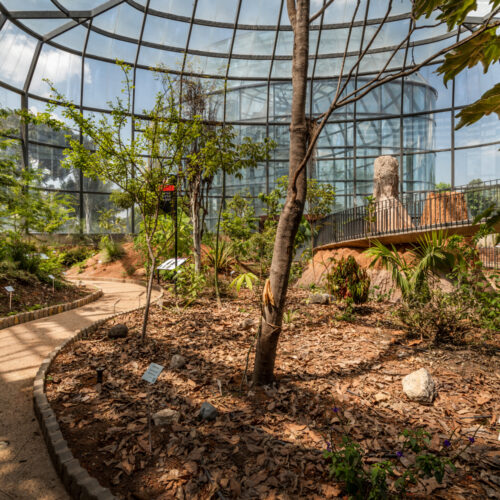 Tropicario Bogotá Botanic Garden / Darp - De Arquitectura Y Paisaje 30 Tropicario bogotá botanic garden / darp - de arquitectura y paisaje