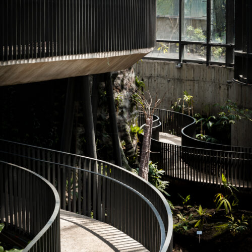 Tropicario Bogotá Botanic Garden / Darp - De Arquitectura Y Paisaje 28 Tropicario bogotá botanic garden / darp - de arquitectura y paisaje