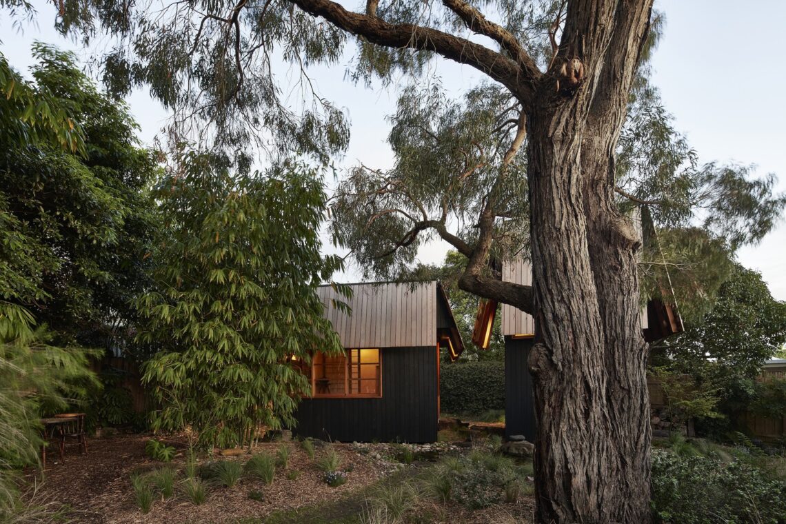 Ember house / mrtn architects