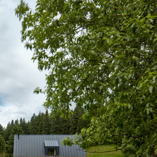 Family house dolní malá úpa / mar. S architects