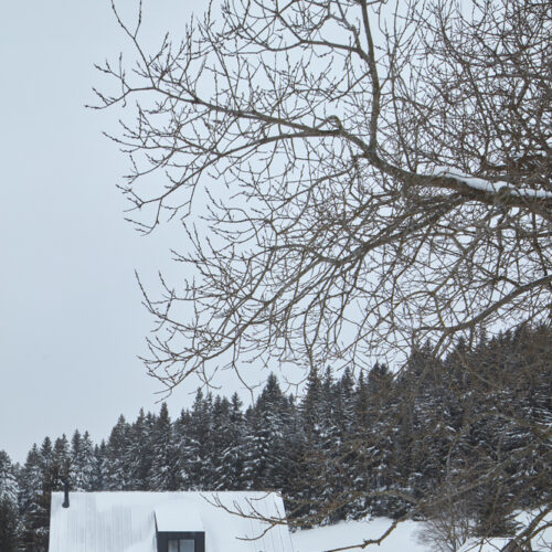 Family house dolní malá úpa / mar. S architects
