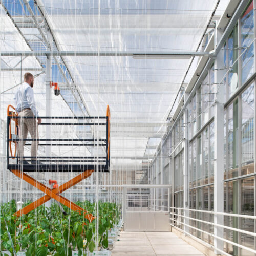 Green House Floriade / V8 Architects 8 Green house floriade / v8 architects