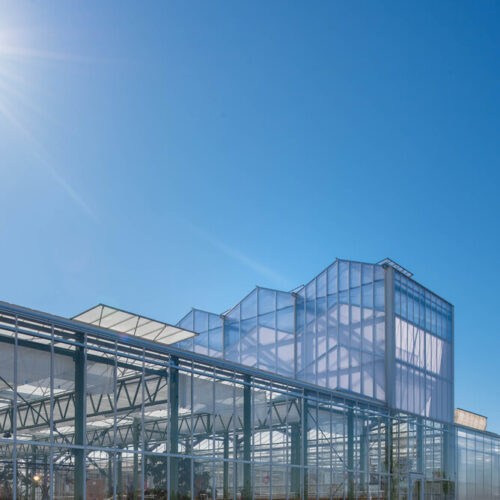 Green House Floriade / V8 Architects 15 Green house floriade / v8 architects