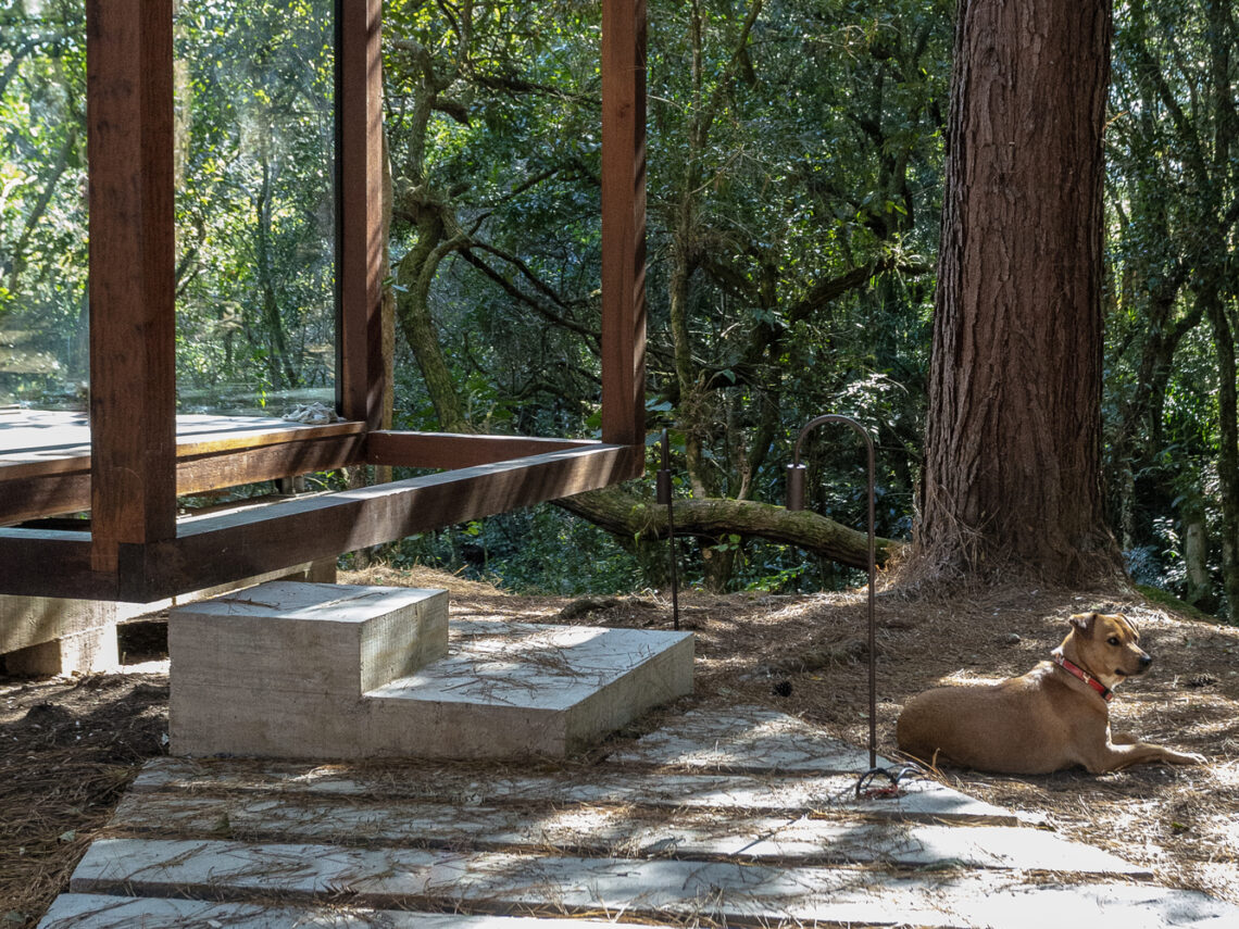 Guaju Pavilion / Yva Arquitetura 29 Guaju pavilion / yva arquitetura
