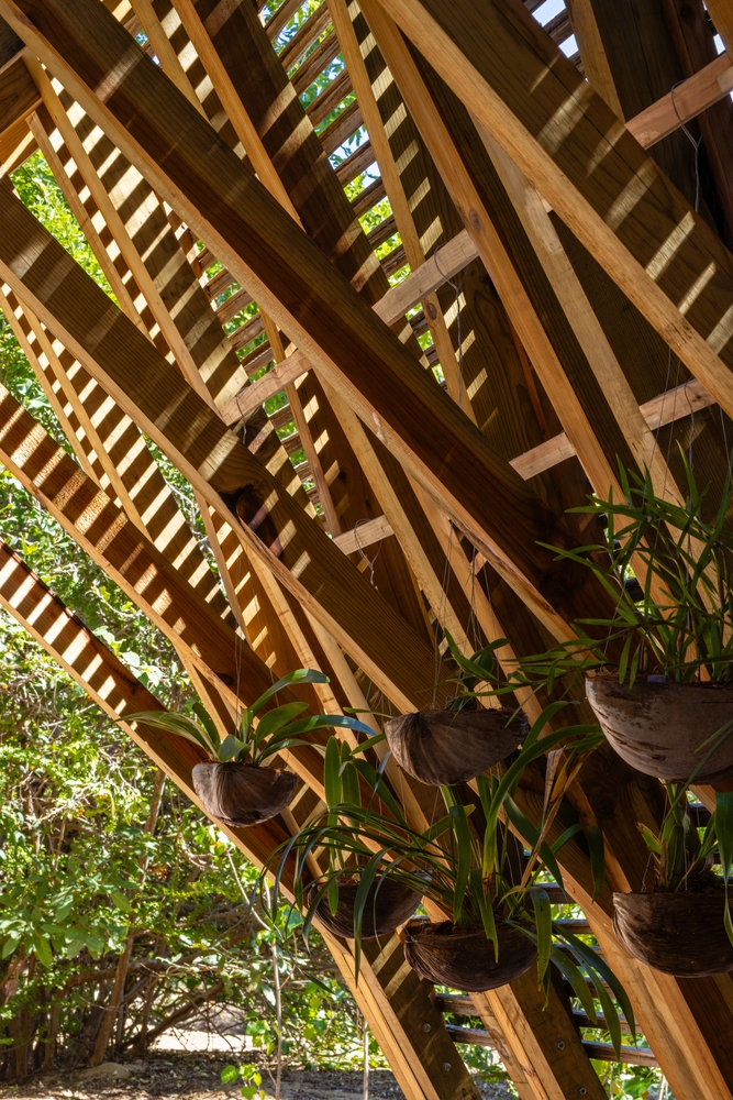 Orchid Pavilion / Cca Centro De Colaboración Arquitectónica 6 Orchid pavilion / cca centro de colaboración arquitectónica