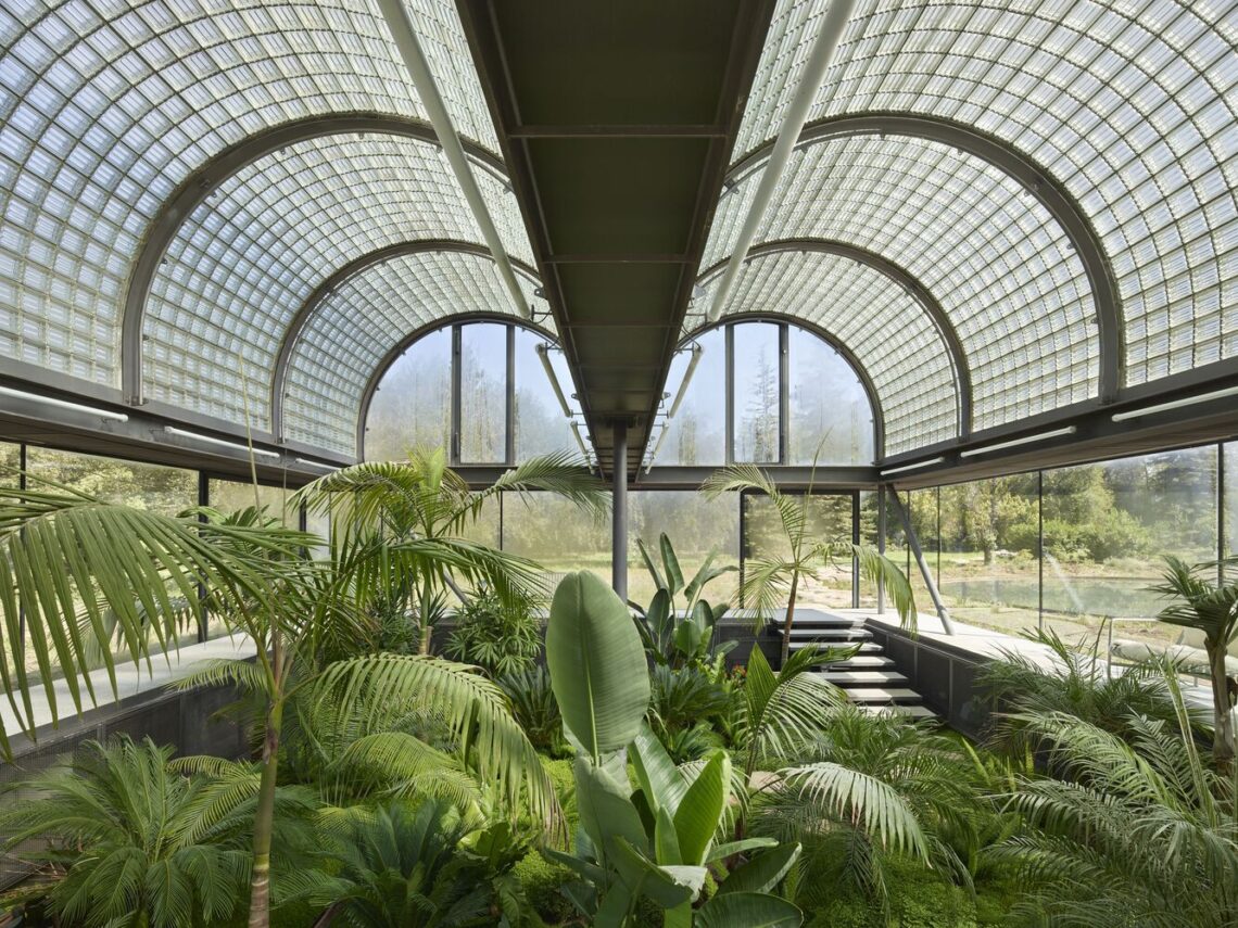 Glass House / Max Núñez 4 Glass house / max núñez