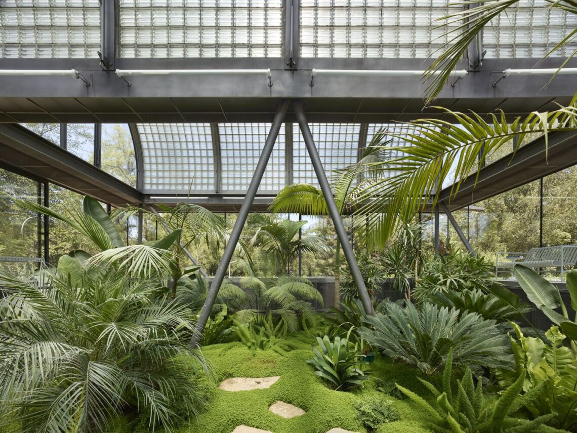 Glass House / Max Núñez 22 Glass house / max núñez