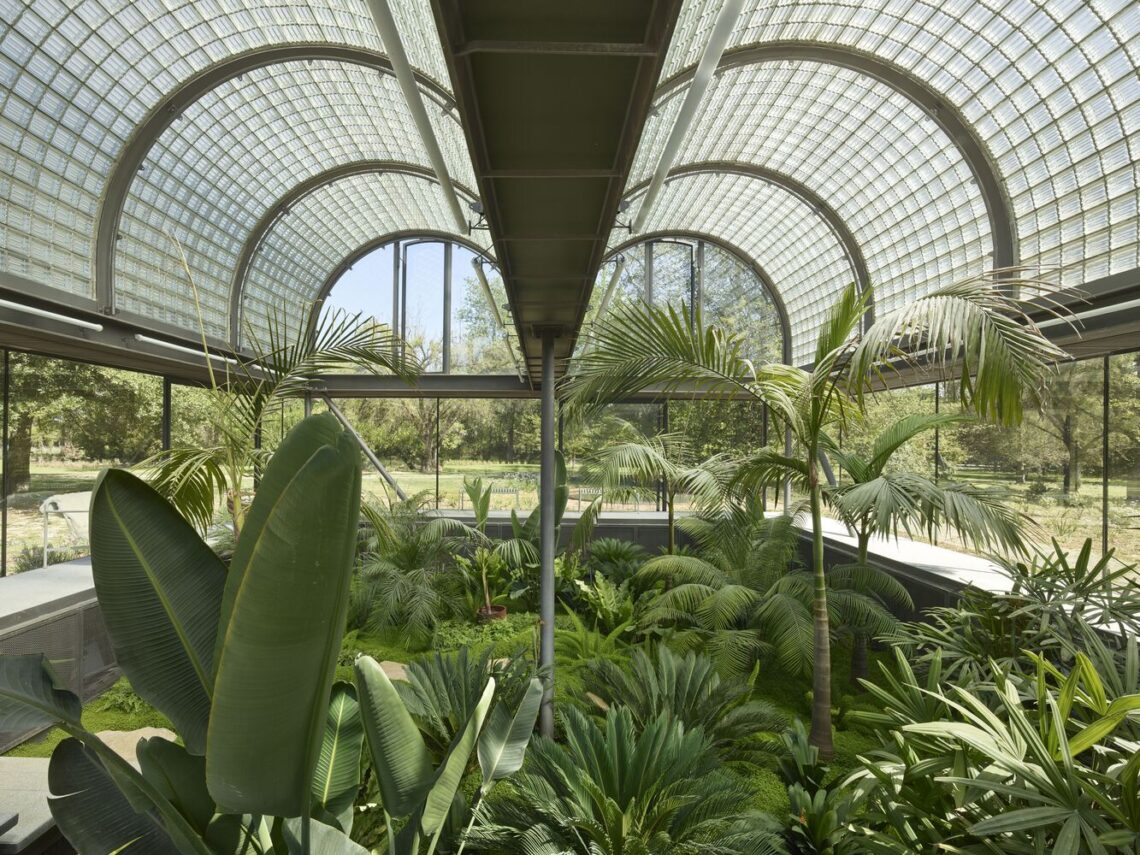 Glass House / Max Núñez 19 Glass house / max núñez