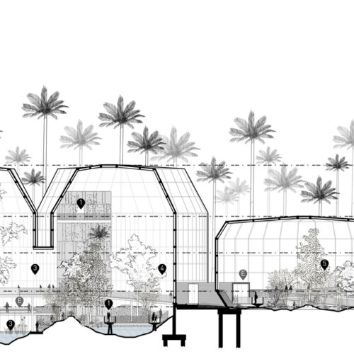 Tropicario Bogotá Botanic Garden / Darp - De Arquitectura Y Paisaje 54 Tropicario bogotá botanic garden / darp - de arquitectura y paisaje