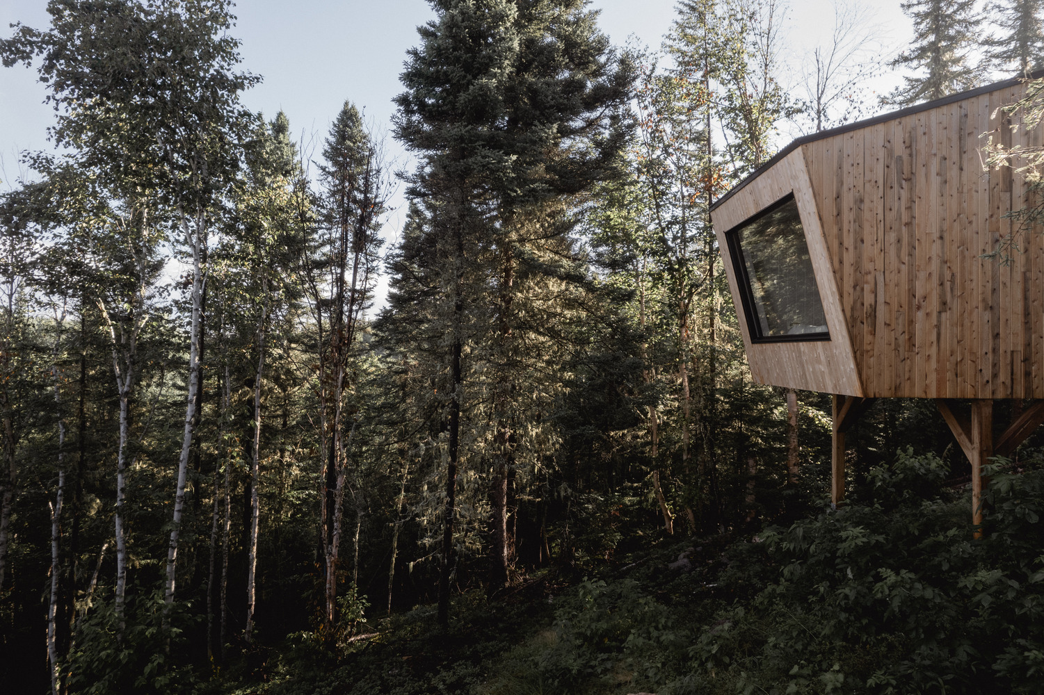 Territoire charlevoix cabin / atelier l’abri