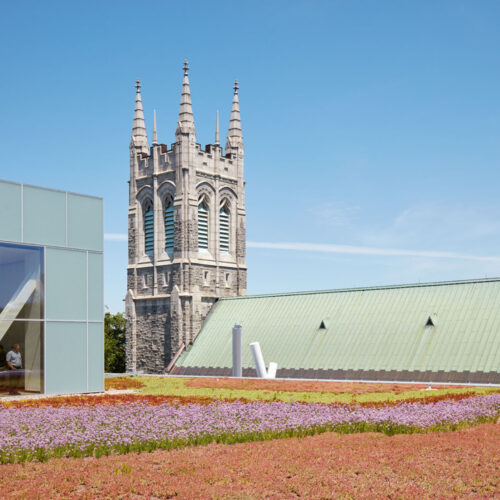 Pierre lassonde pavilion / oma