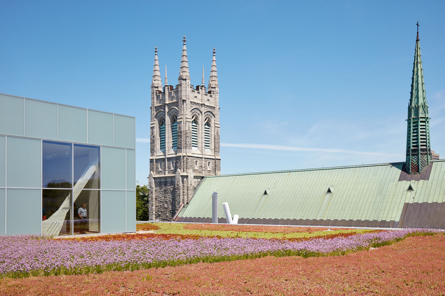 Pierre lassonde pavilion / oma
