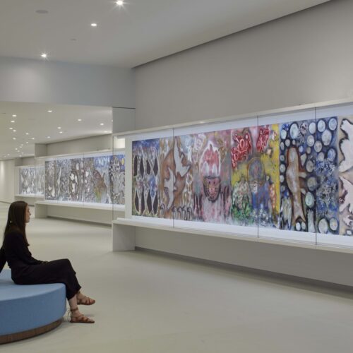 Pierre lassonde pavilion / oma