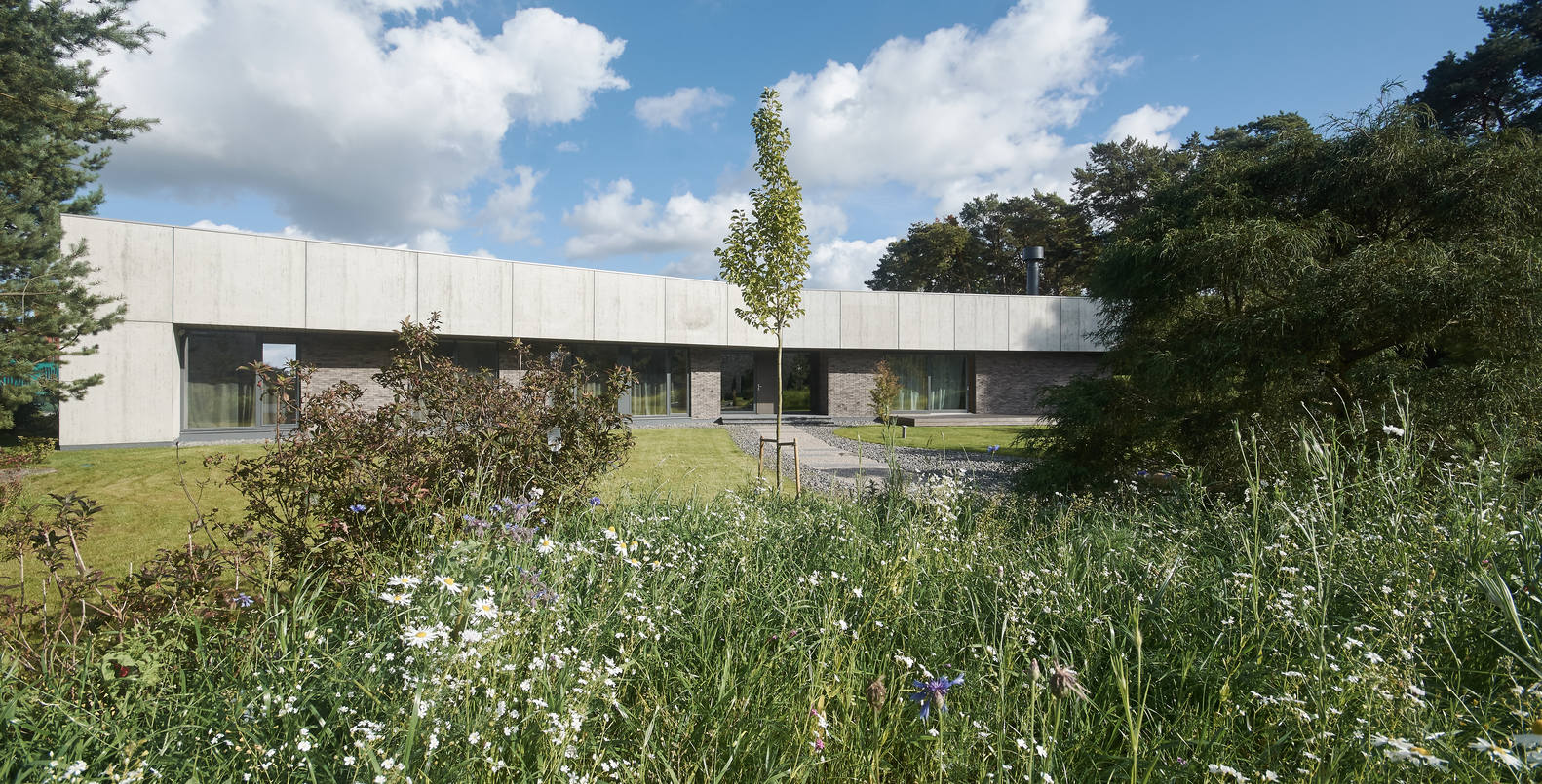 Residential minimalist concrete house / nebrau