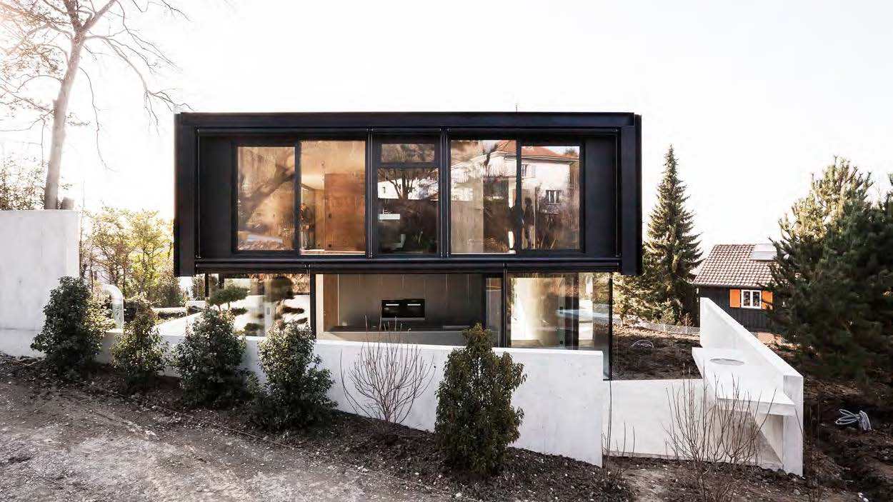 2_Exterior_View_Back House in riehen / reuter raeber architects