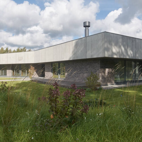 Residential minimalist concrete house / nebrau