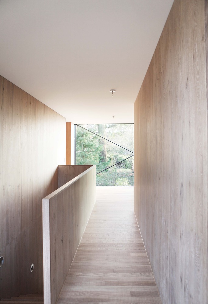 9_Stairwell House in riehen / reuter raeber architects