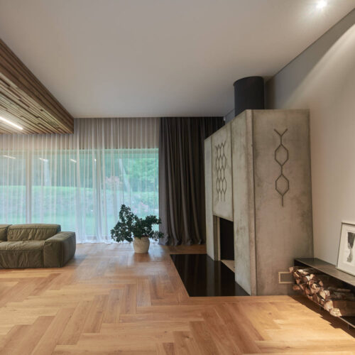 Residential minimalist concrete house / nebrau