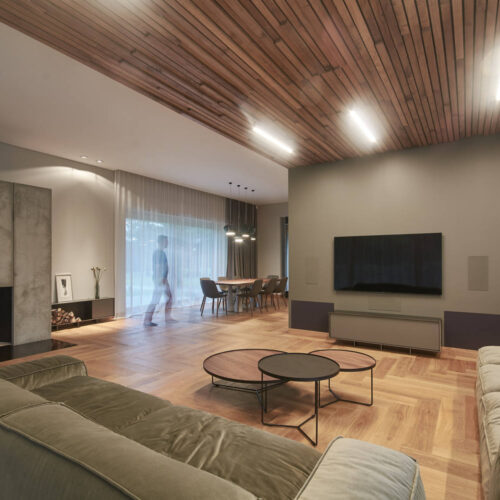 Residential minimalist concrete house / nebrau