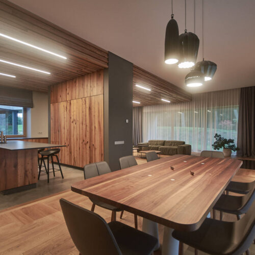 Residential minimalist concrete house / nebrau