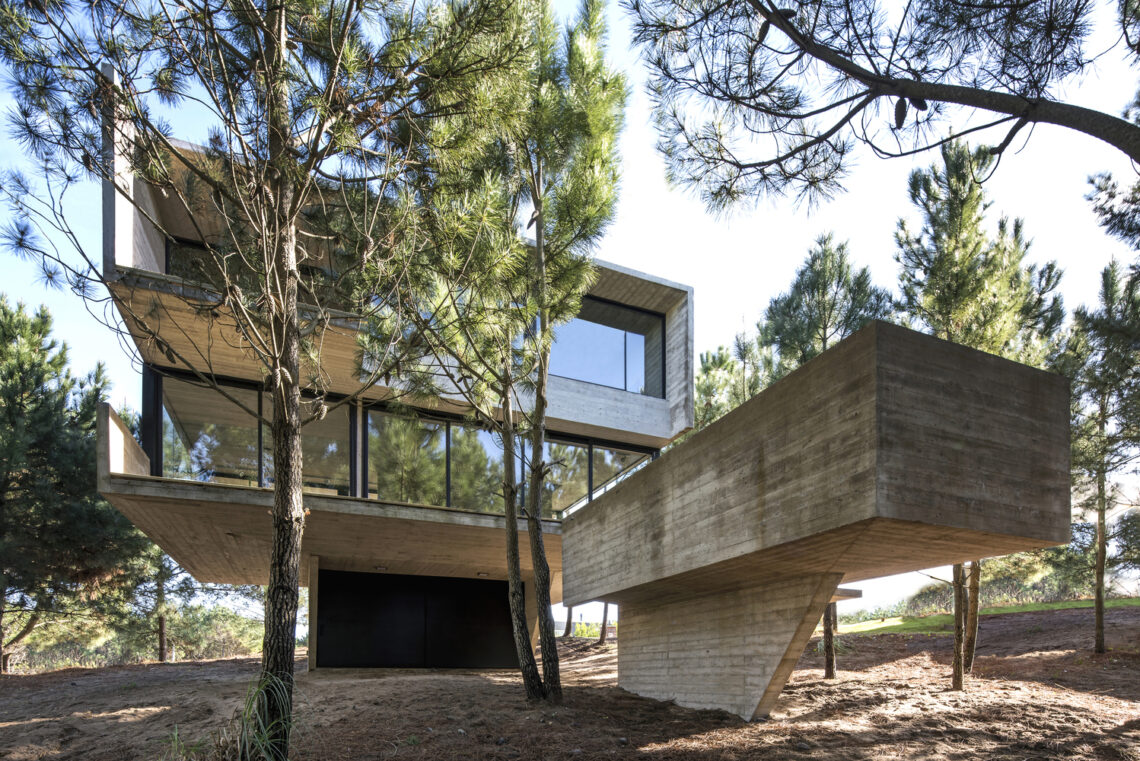 House In The Trees / Luciano Kruk 15 House in the trees / luciano kruk